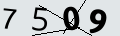 verifycode